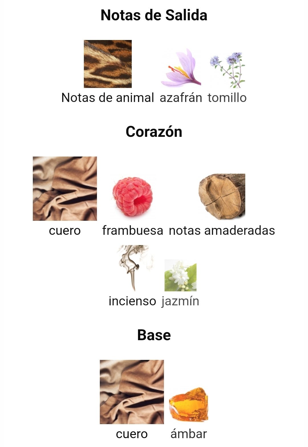 Toscano Leather Maison Alhambra - Image 3